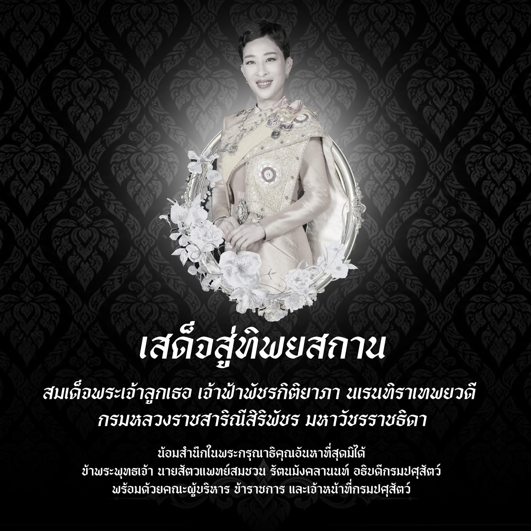 สมเด็จพระเจ้าลูกเธอ เจ้าฟ้าพัชรกิติยาภา นเรนทิราเทพยวดีกรมหลวงราชสาริณีสิริพัชร มหาวัชรราชธิดา